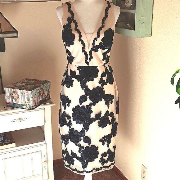 Nicole Miller Soft Blush Dress With RIbbon Embroidery Applique.Old Money.Elegant - Picture 2 of 16